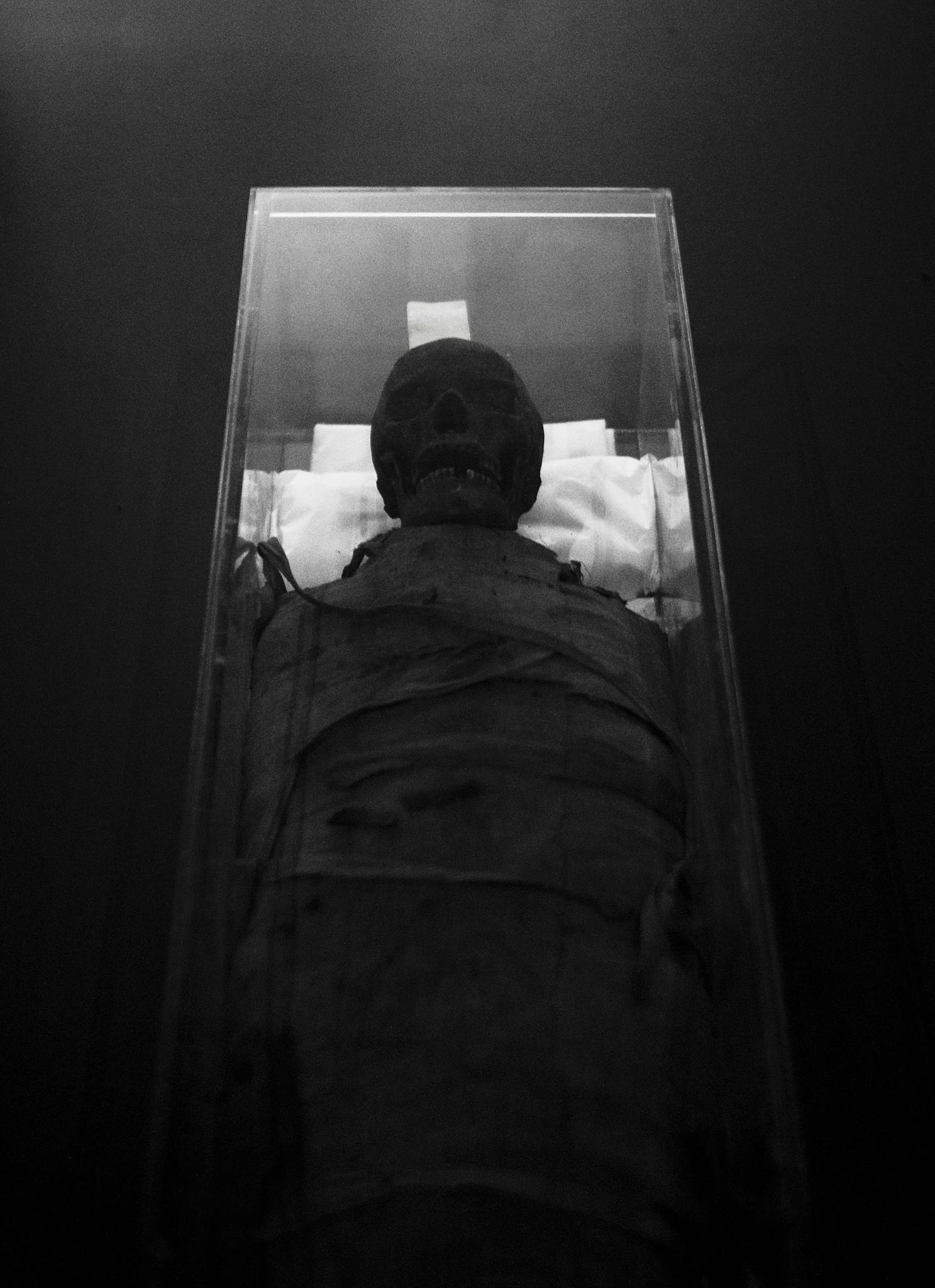 Explore the mysterious allure of an ancient mummy in this black and white museum exhibit.